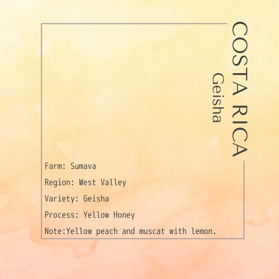 Costa Rica Geisha Red Honey Alejo Castro 200 - specialty coffee beans ...