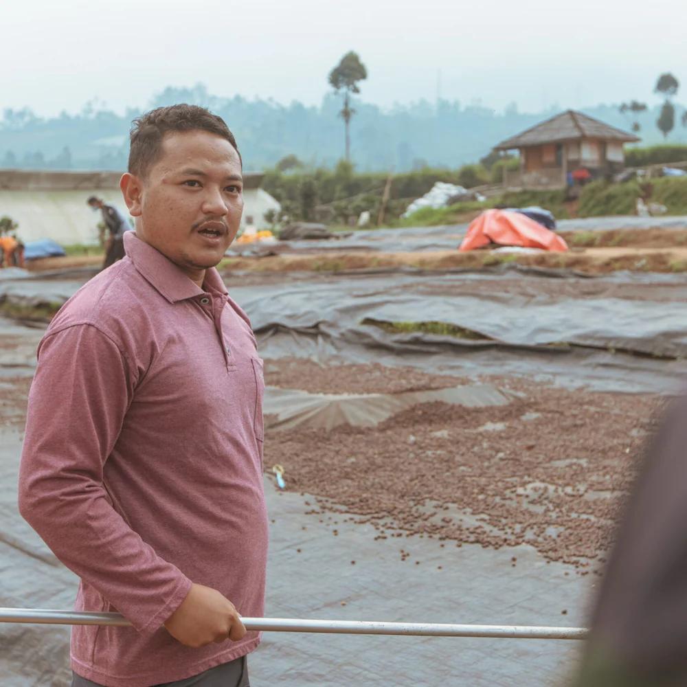 Java - Frinsa Weninggalih - Yasmin Salsabila - specialty coffee beans ...