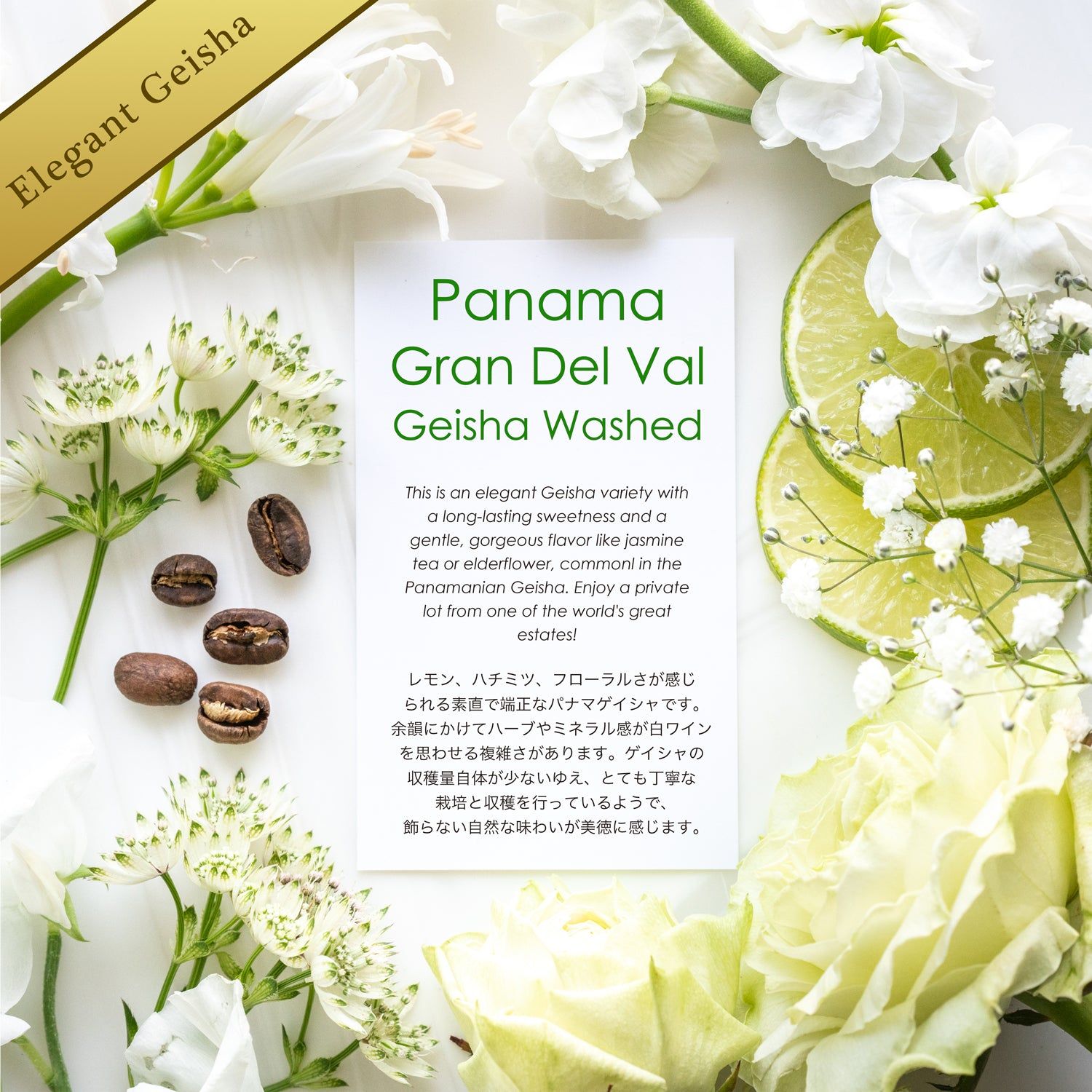 Gran Del Val Geisha Washed - Specialty Coffee Beans | TheBeanGeek