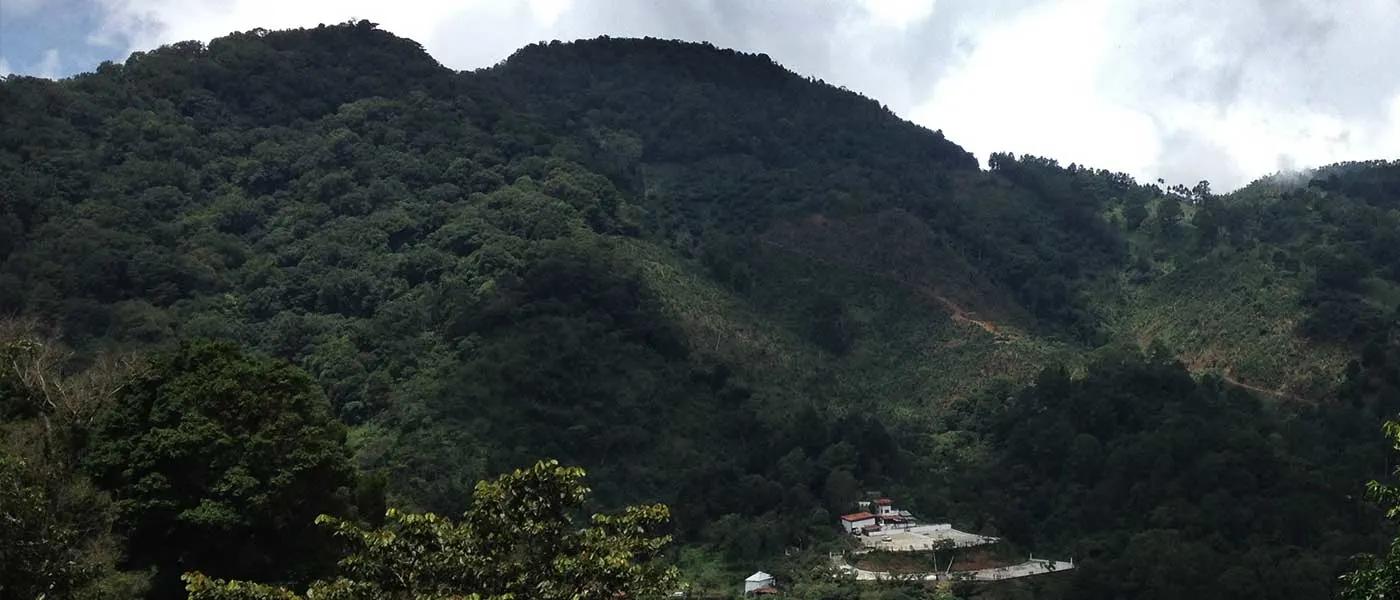 Guatemala La Idolia - Specialty Coffee Beans | TheBeanGeek
