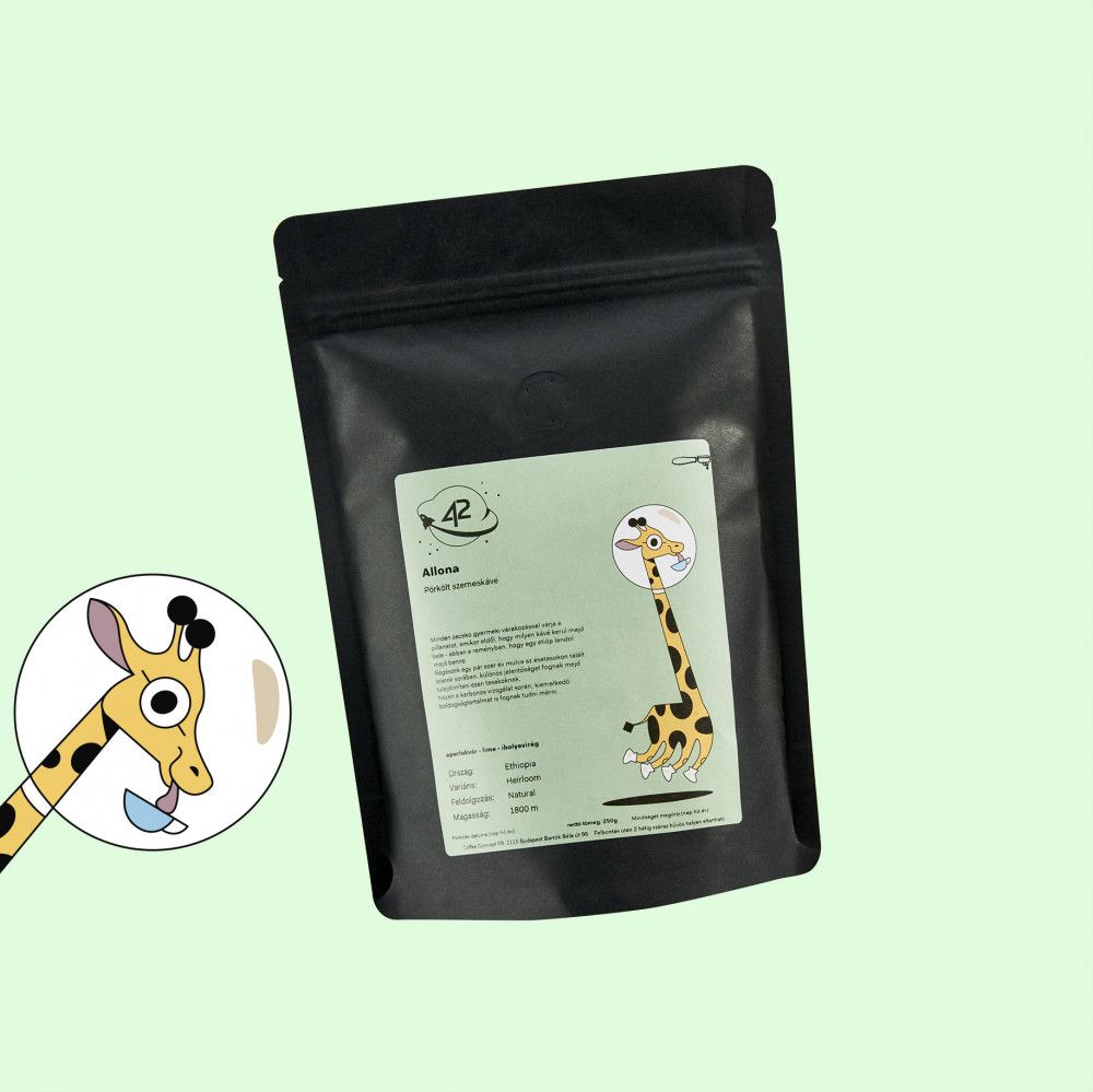 Ethiopia Yirgacheffe Wote Micro Lot - Specialty Coffee Beans | TheBeanGeek